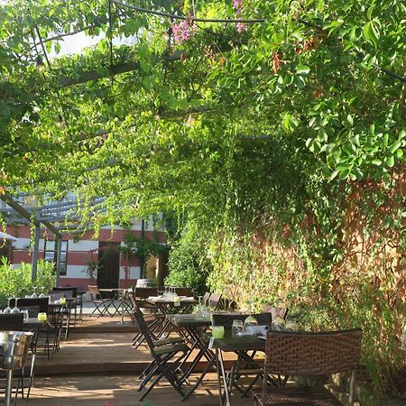 Monticello d'Alba Foresteria Ristorante Conti Roero المظهر الخارجي الصورة