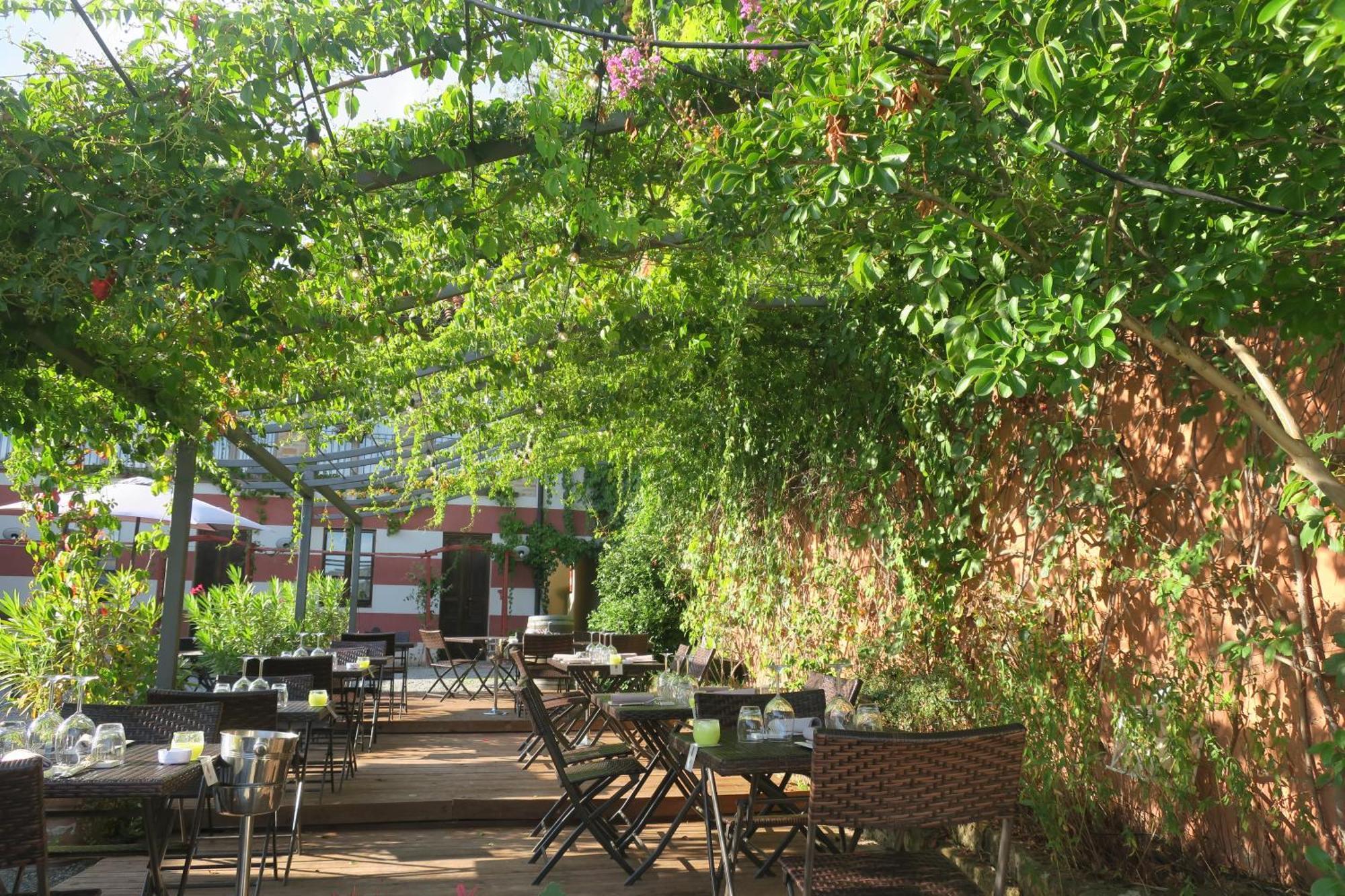 Monticello d'Alba Foresteria Ristorante Conti Roero المظهر الخارجي الصورة