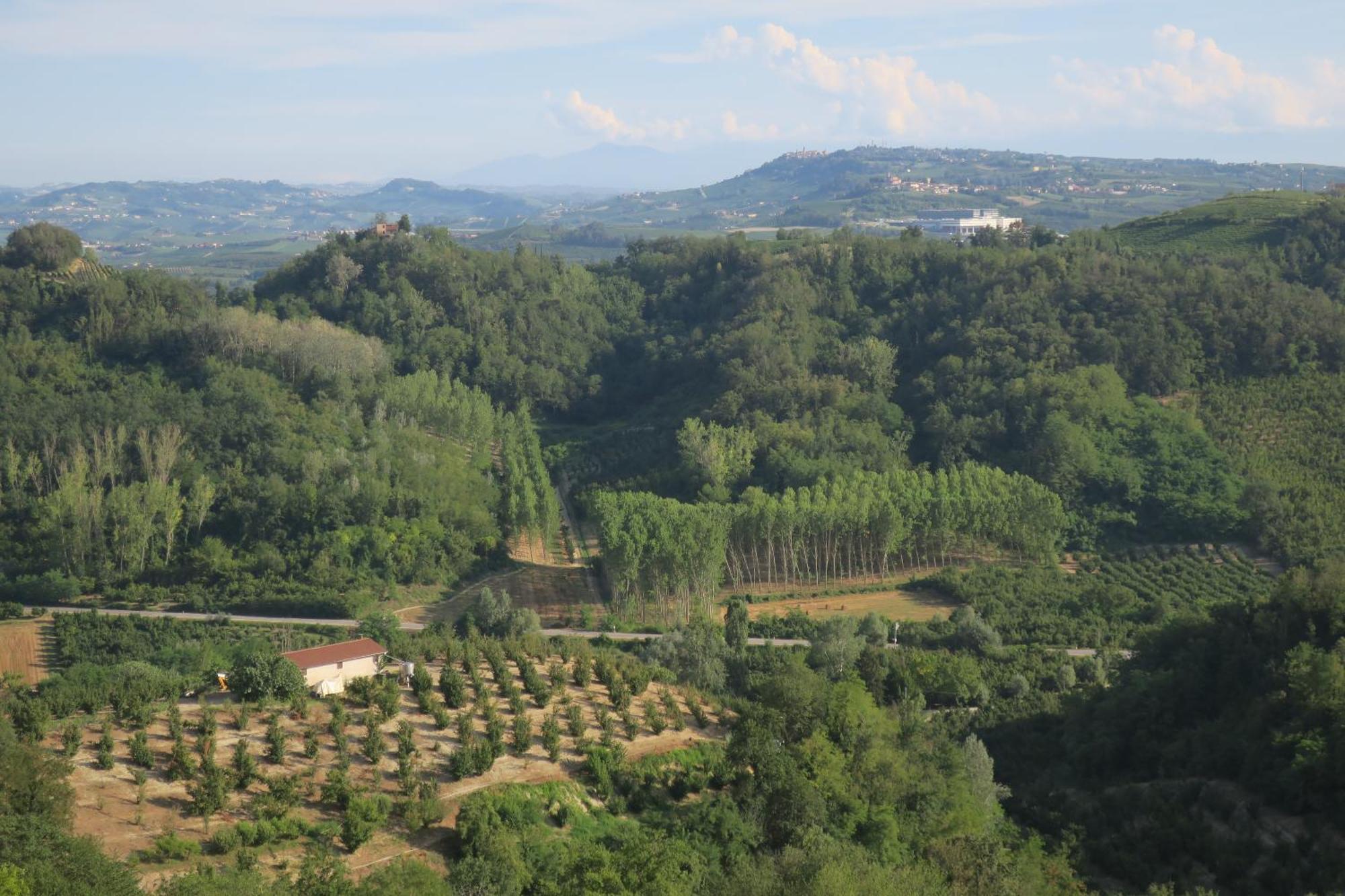 Monticello d'Alba Foresteria Ristorante Conti Roero المظهر الخارجي الصورة