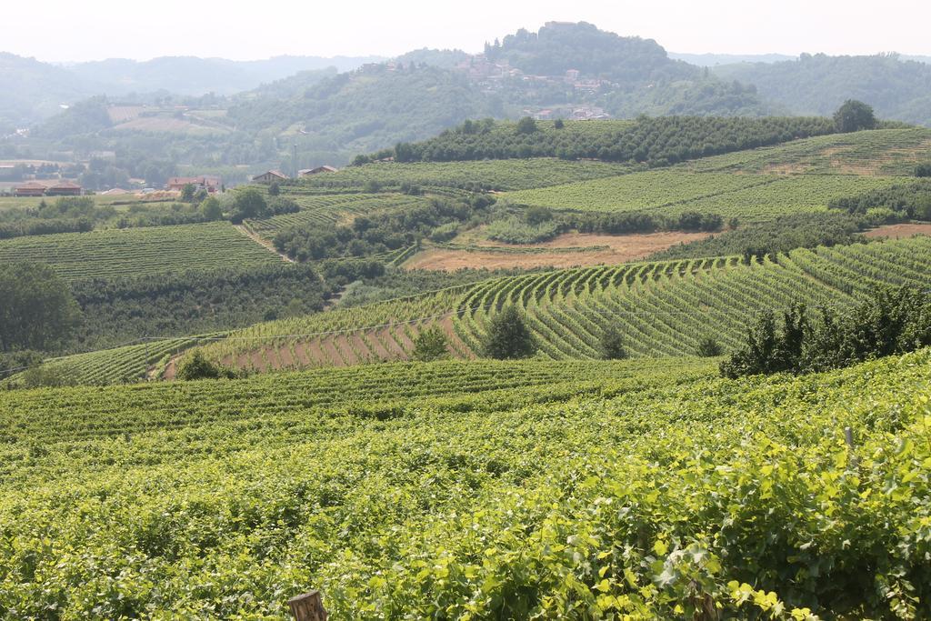 Monticello d'Alba Foresteria Ristorante Conti Roero المظهر الخارجي الصورة